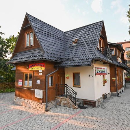 Wesola Chatka Zakopane - Krupowki 37A -Centrum Dış mekan fotoğraf